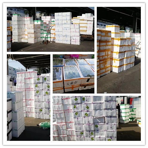 首页-PA真人集团有限公司官网