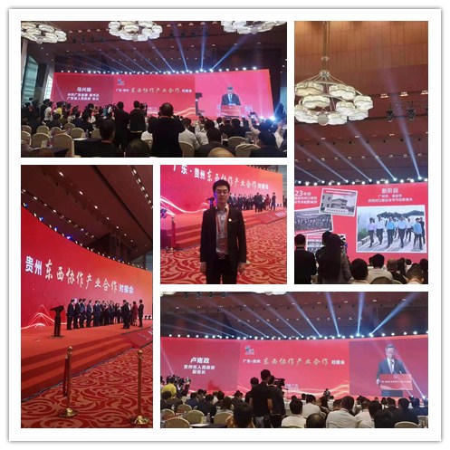 首页-PA真人集团有限公司官网