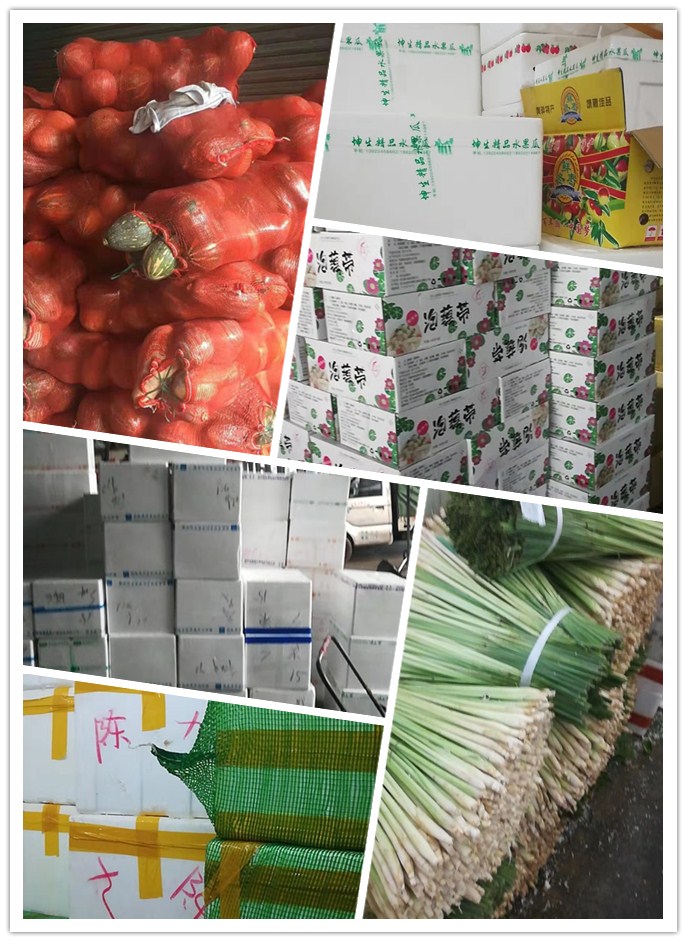 首页-PA真人集团有限公司官网