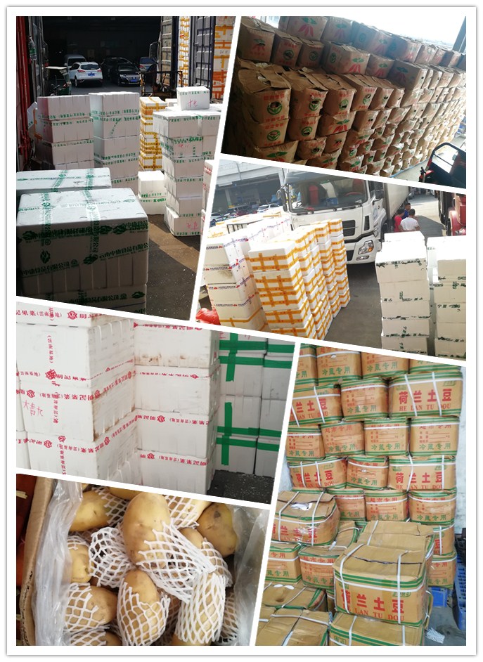 首页-PA真人集团有限公司官网