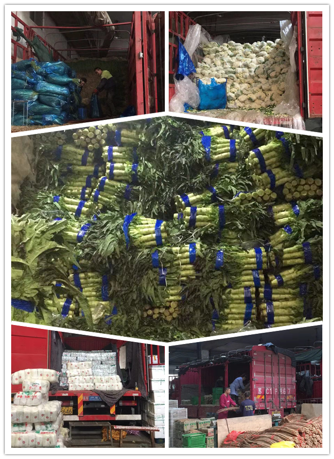 首页-PA真人集团有限公司官网