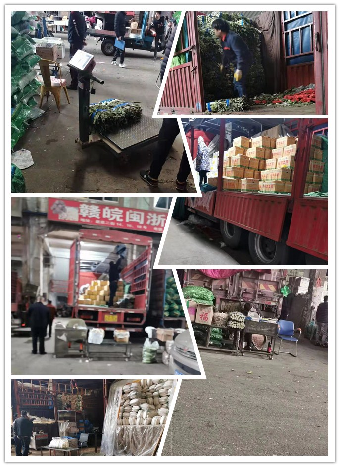 首页-PA真人集团有限公司官网