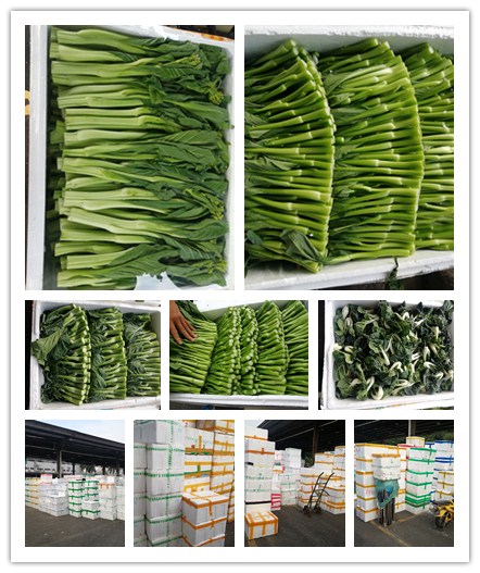 首页-PA真人集团有限公司官网