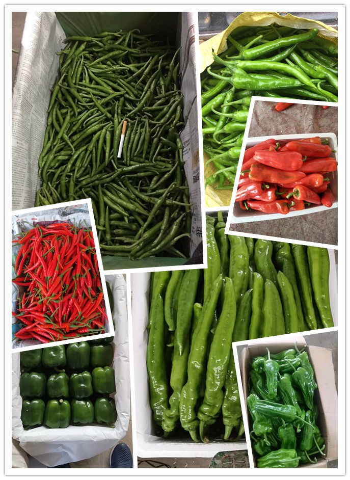 首页-PA真人集团有限公司官网