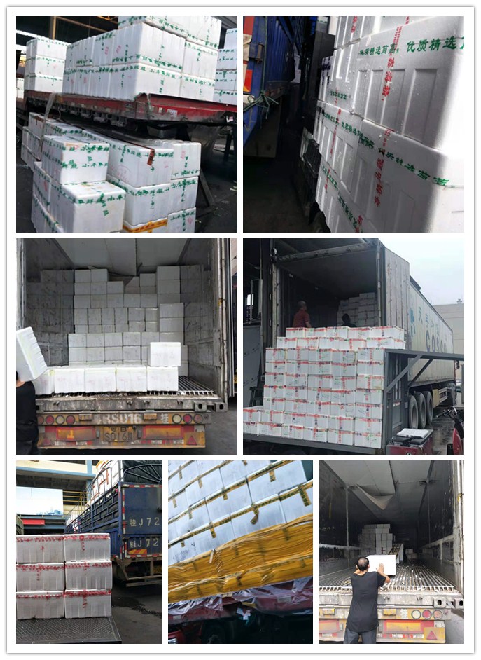 首页-PA真人集团有限公司官网