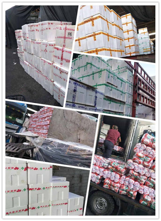 首页-PA真人集团有限公司官网