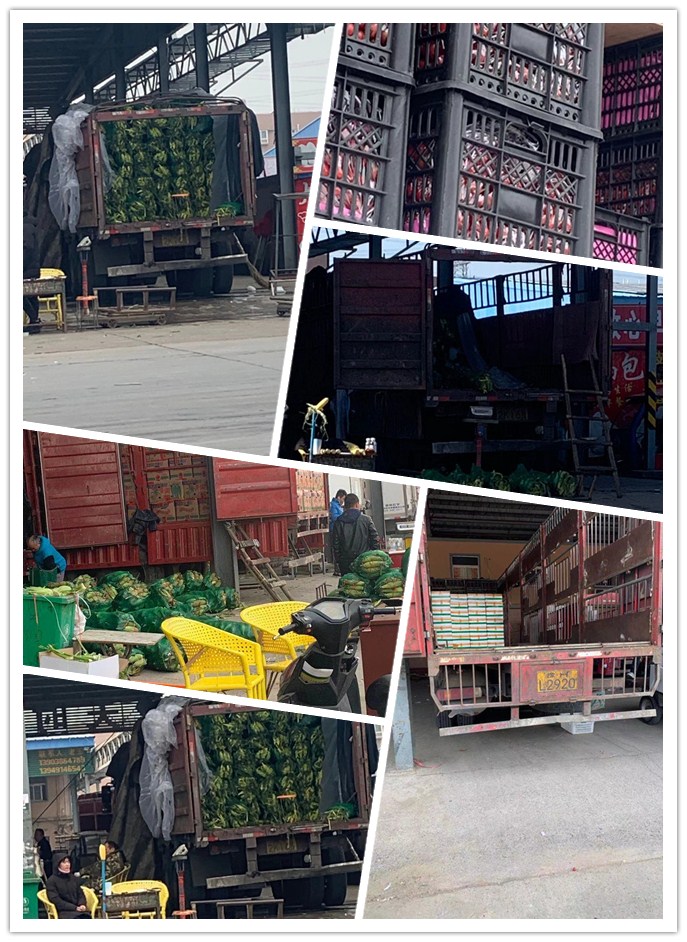 首页-PA真人集团有限公司官网