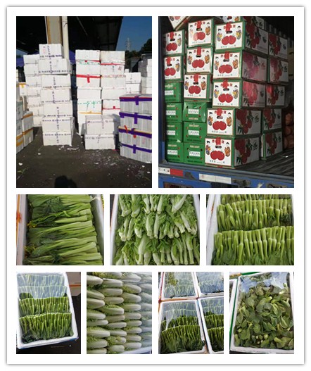 首页-PA真人集团有限公司官网