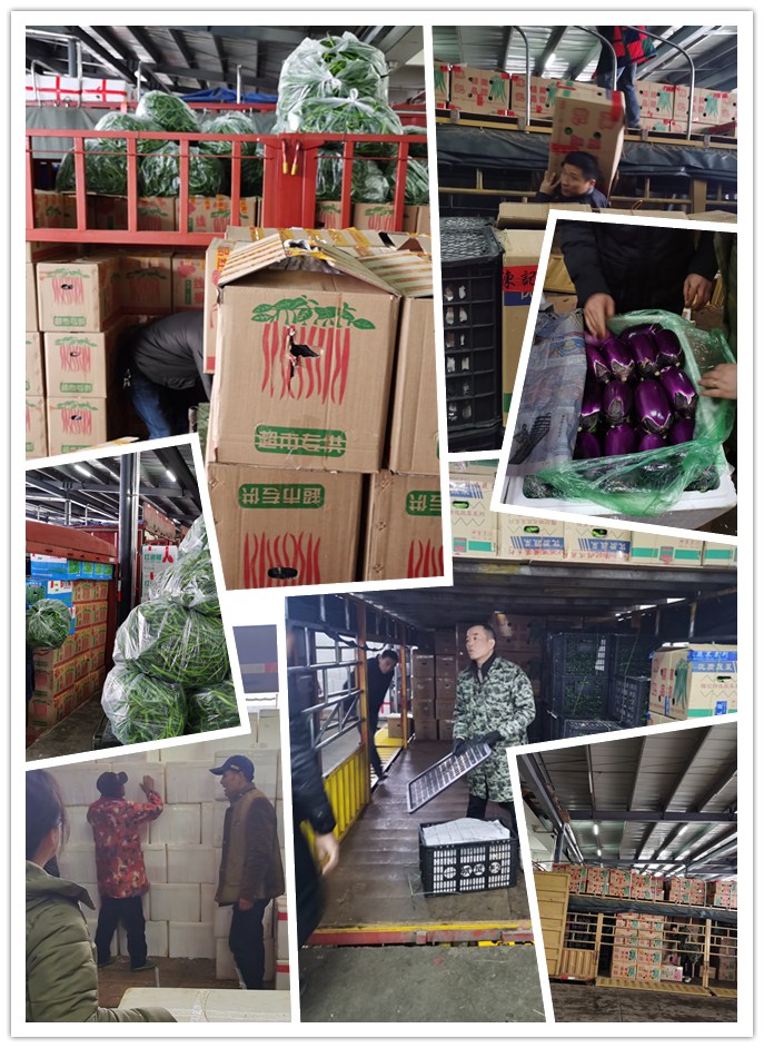 首页-PA真人集团有限公司官网