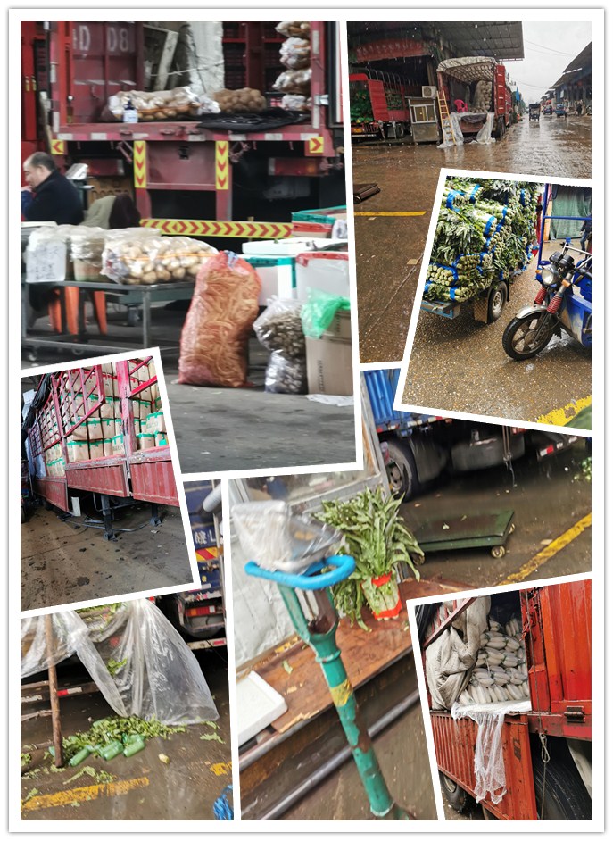 首页-PA真人集团有限公司官网