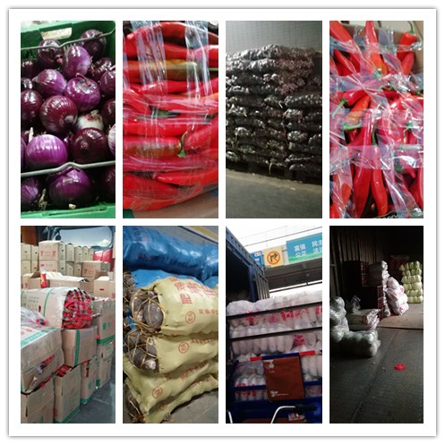 首页-PA真人集团有限公司官网