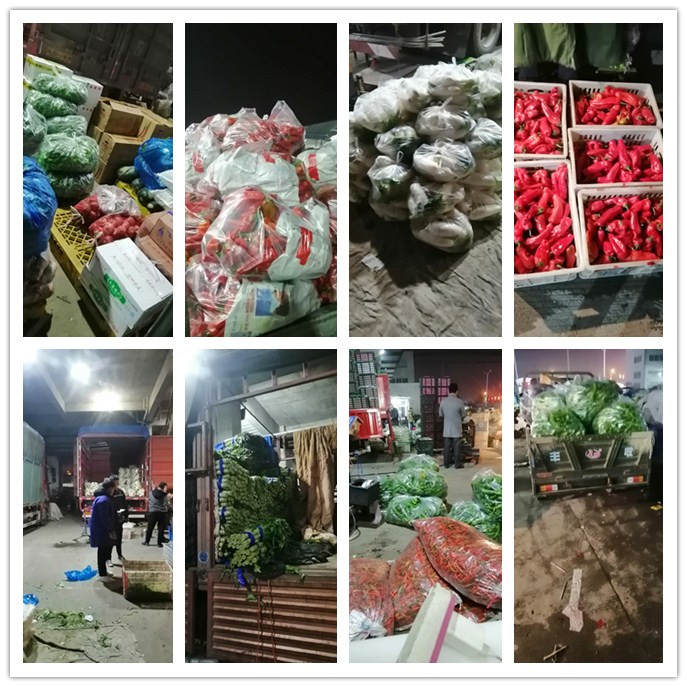 首页-PA真人集团有限公司官网