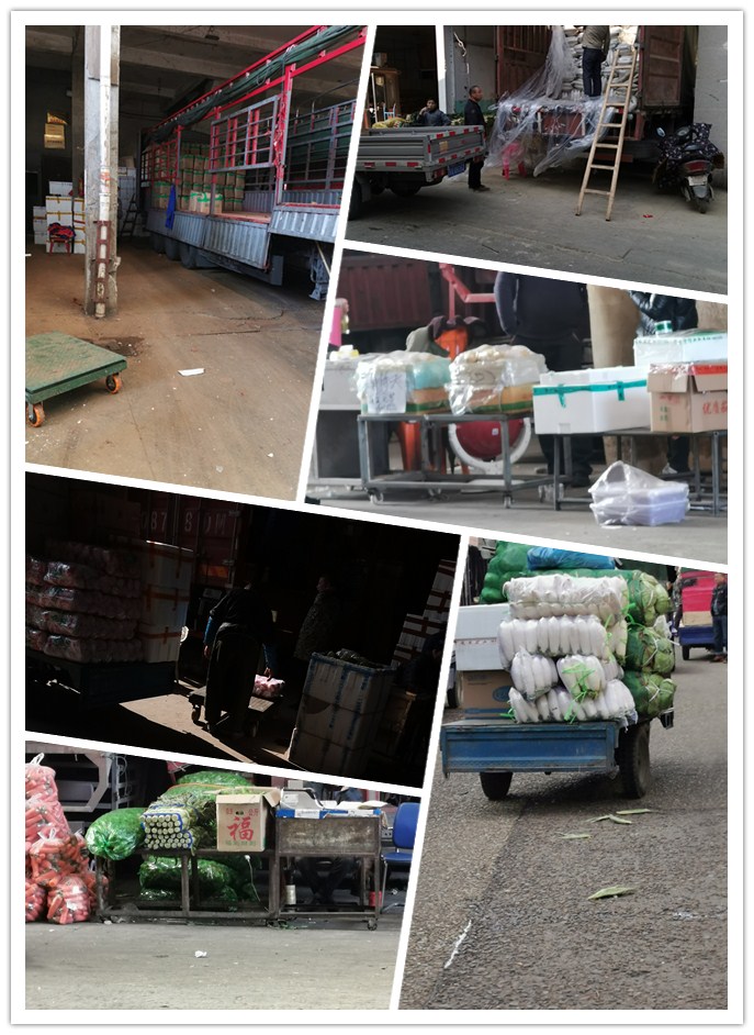 首页-PA真人集团有限公司官网