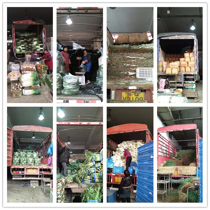 首页-PA真人集团有限公司官网