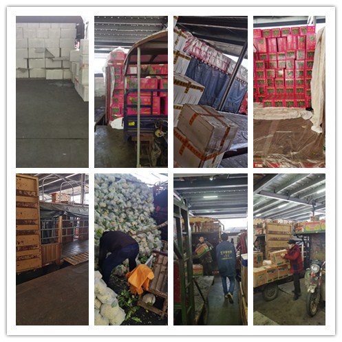 首页-PA真人集团有限公司官网