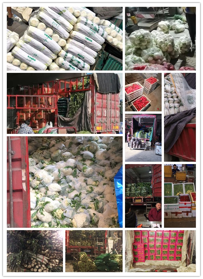 首页-PA真人集团有限公司官网