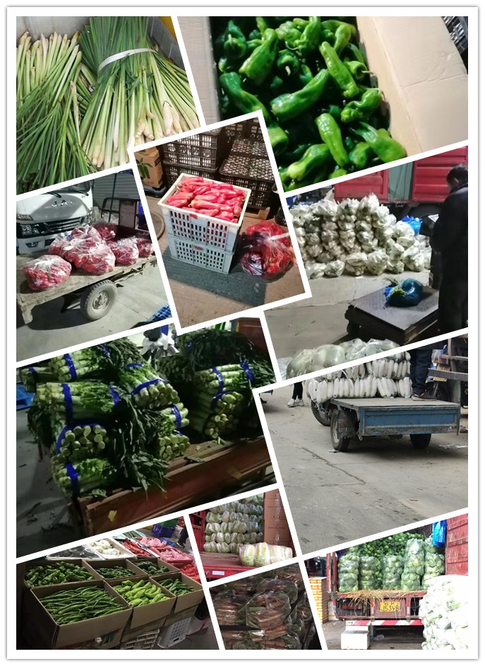 首页-PA真人集团有限公司官网