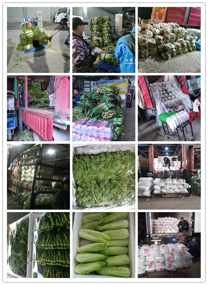 首页-PA真人集团有限公司官网