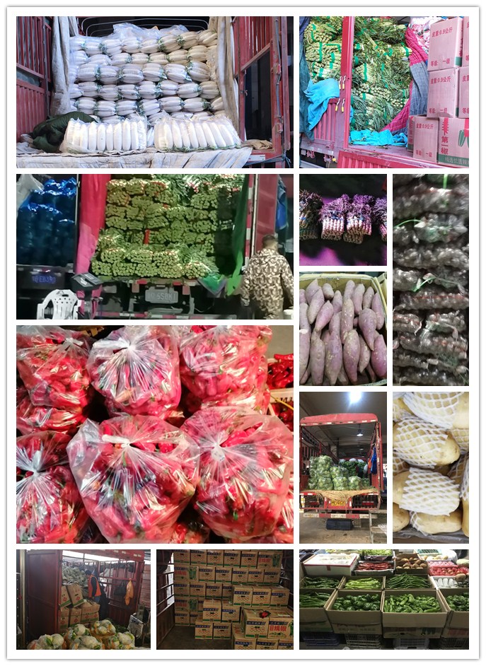 首页-PA真人集团有限公司官网