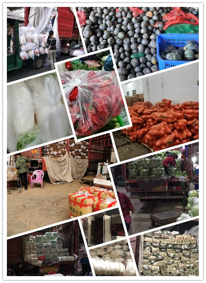 首页-PA真人集团有限公司官网