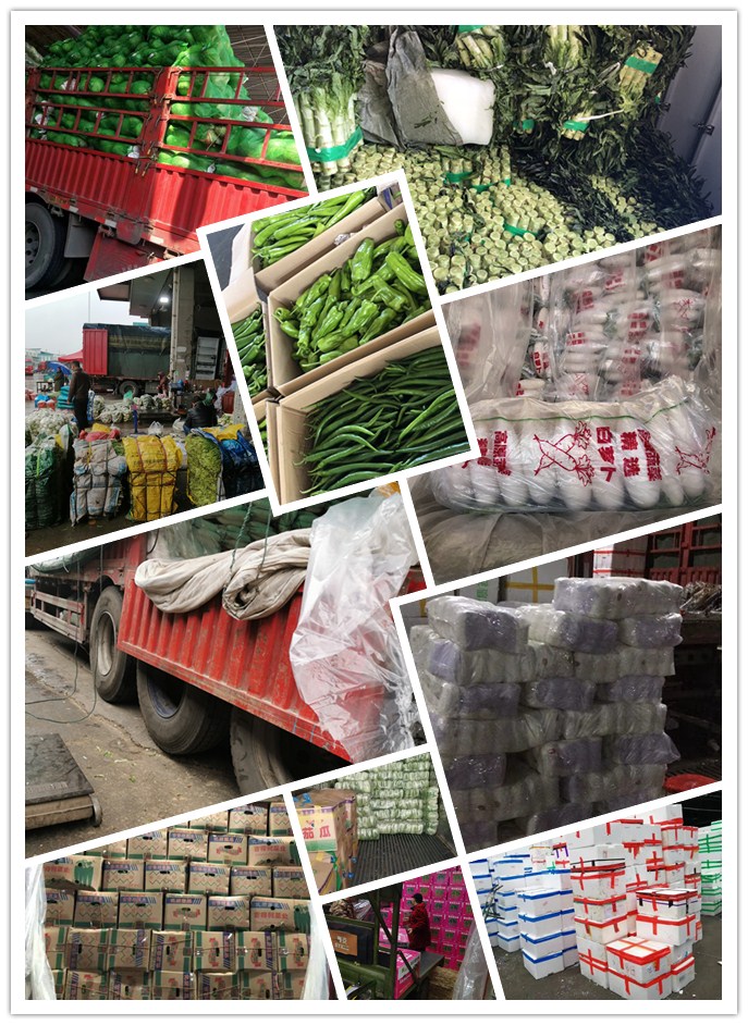 首页-PA真人集团有限公司官网