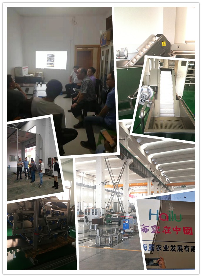 首页-PA真人集团有限公司官网