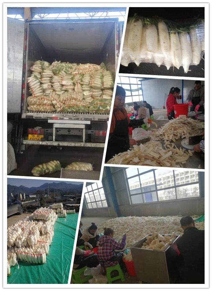 首页-PA真人集团有限公司官网