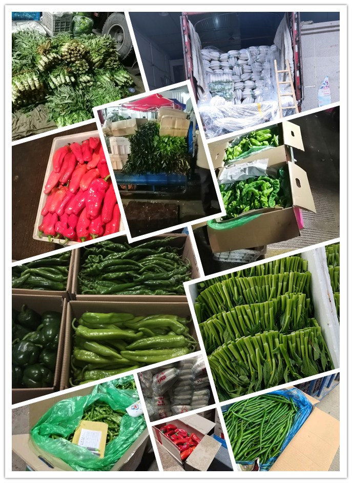 首页-PA真人集团有限公司官网