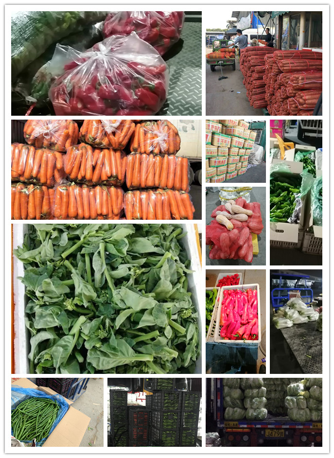 首页-PA真人集团有限公司官网