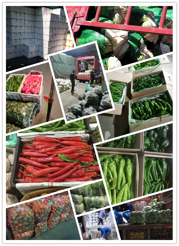 首页-PA真人集团有限公司官网