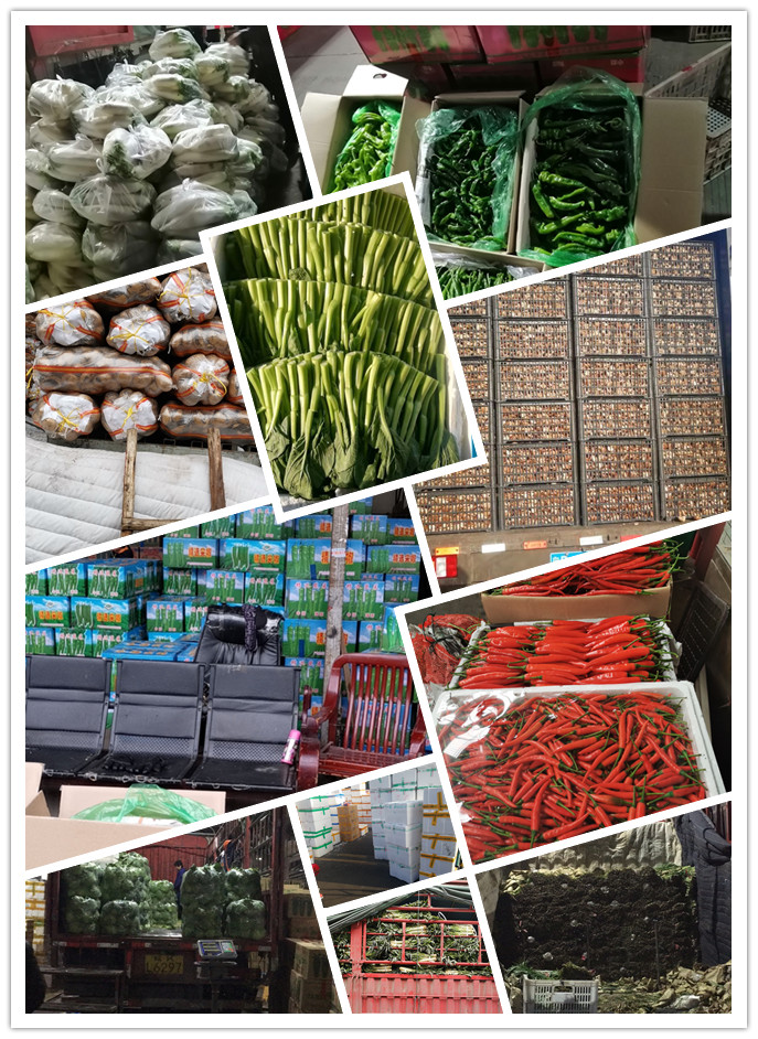 首页-PA真人集团有限公司官网