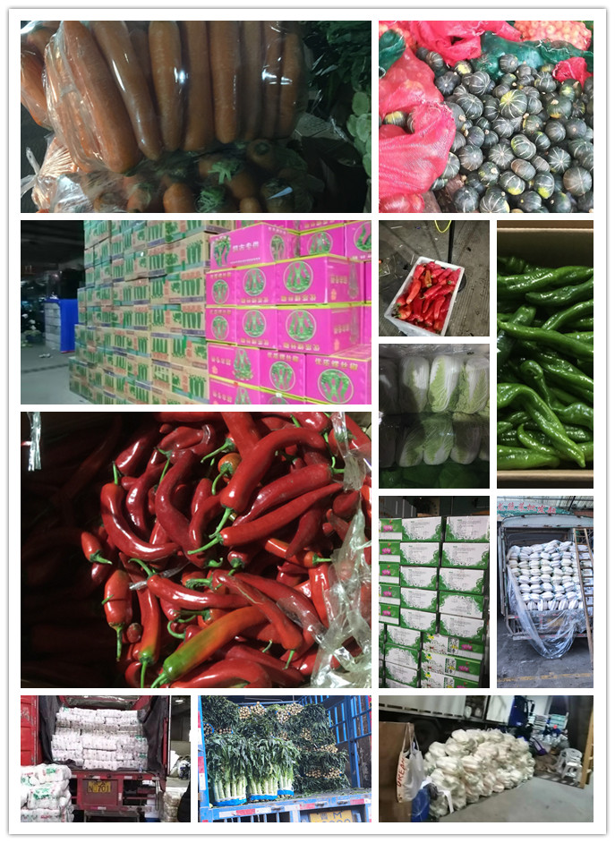 首页-PA真人集团有限公司官网