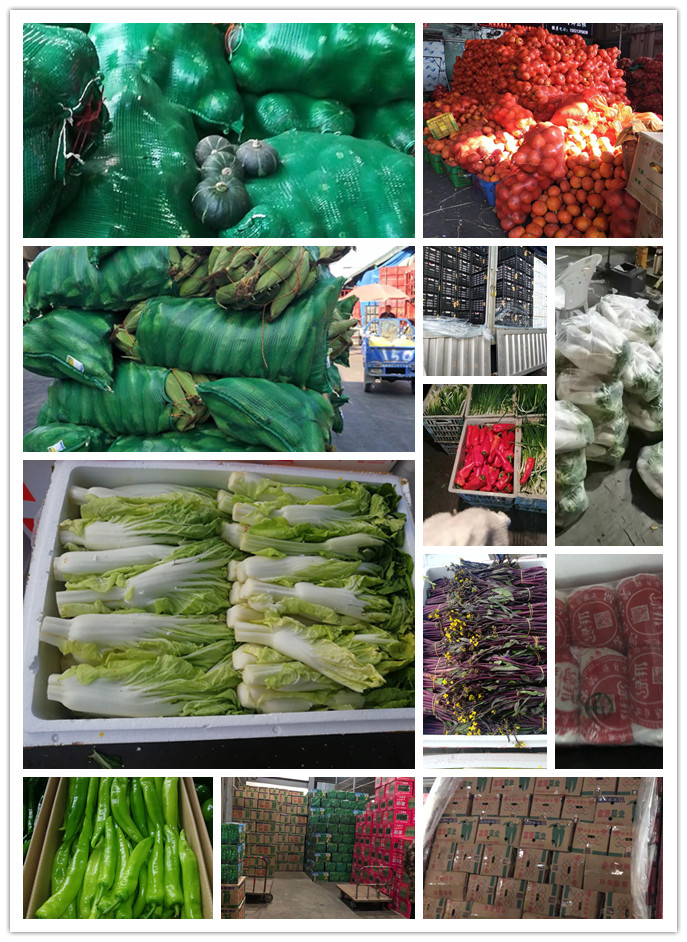 首页-PA真人集团有限公司官网