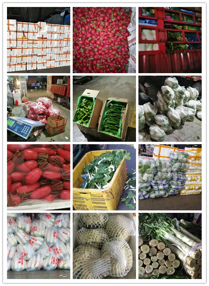 首页-PA真人集团有限公司官网