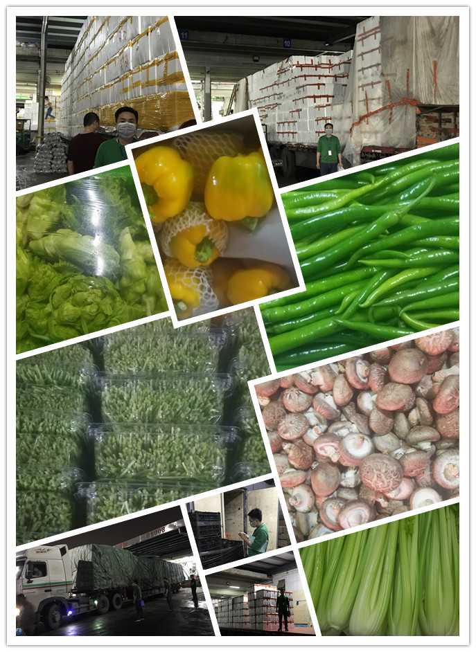 首页-PA真人集团有限公司官网