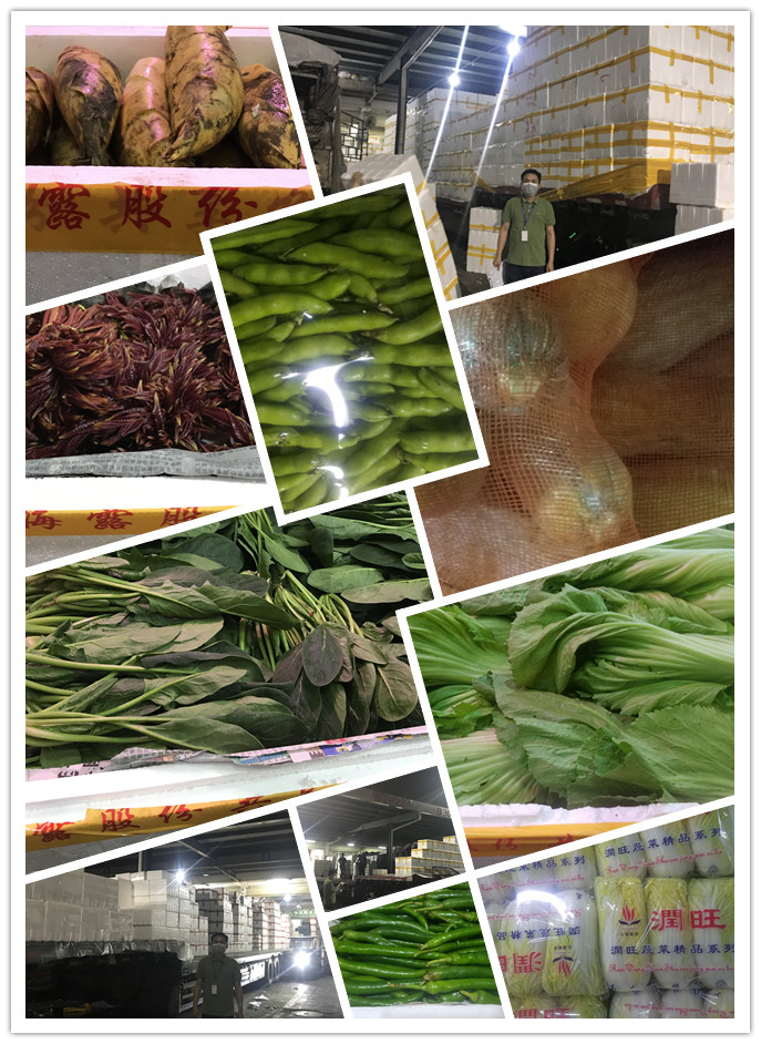 首页-PA真人集团有限公司官网