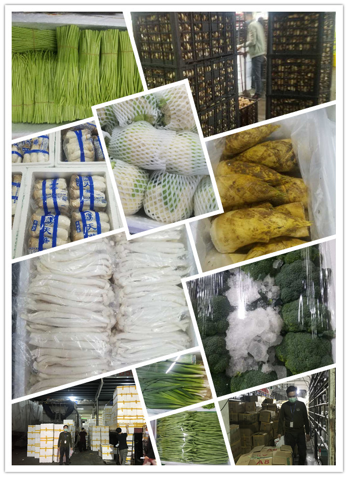 首页-PA真人集团有限公司官网