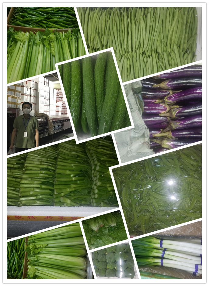 首页-PA真人集团有限公司官网