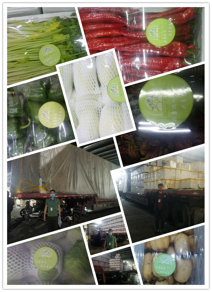 首页-PA真人集团有限公司官网