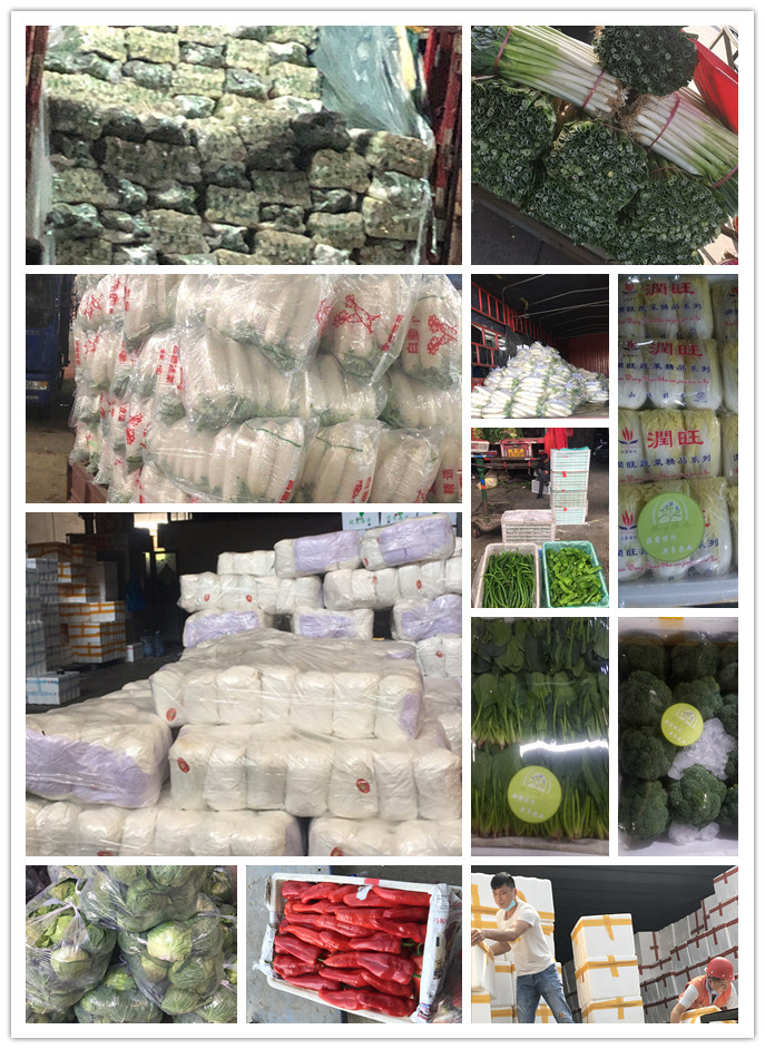 首页-PA真人集团有限公司官网