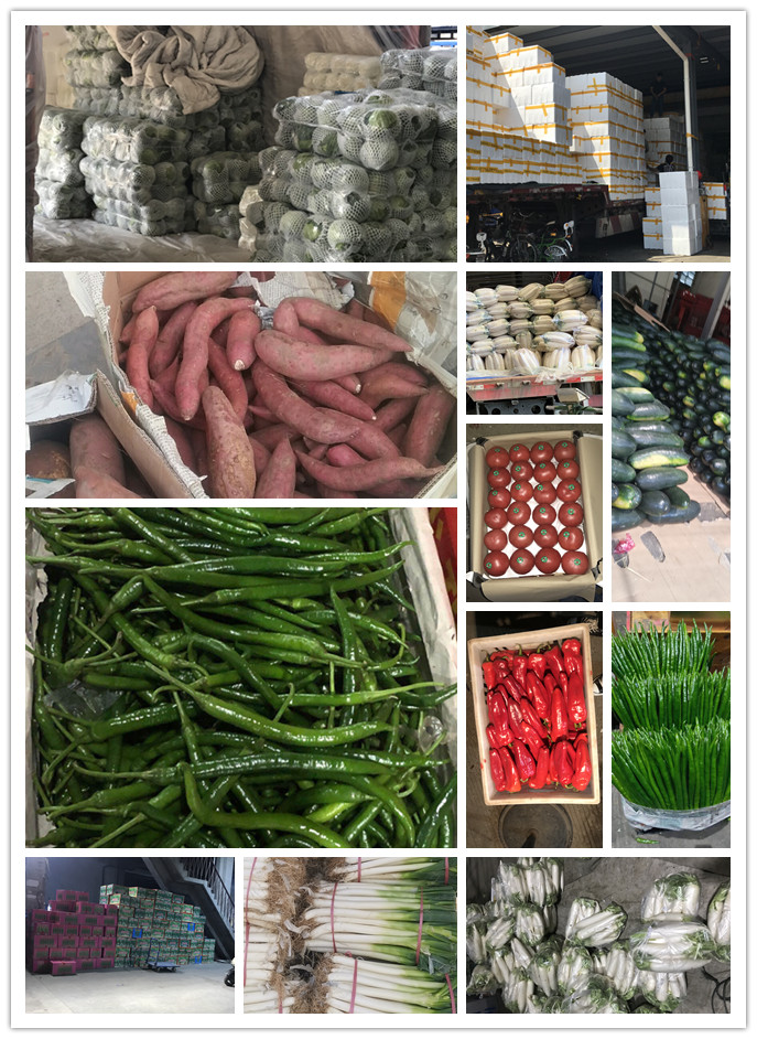 首页-PA真人集团有限公司官网