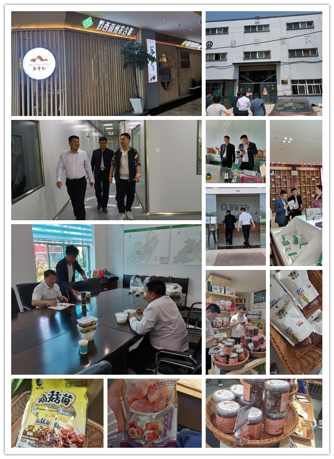 首页-PA真人集团有限公司官网