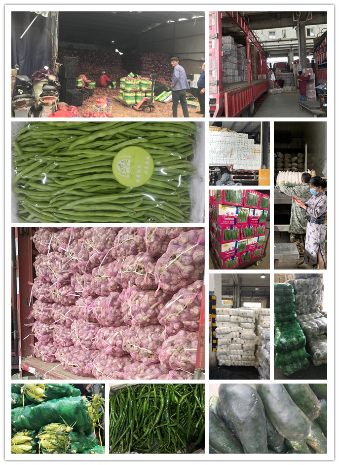 首页-PA真人集团有限公司官网