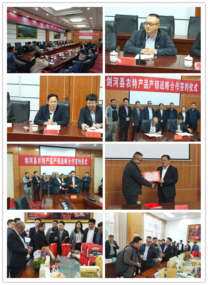 首页-PA真人集团有限公司官网