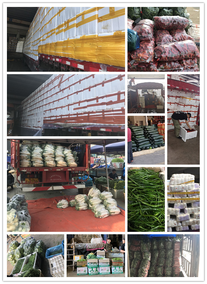 首页-PA真人集团有限公司官网