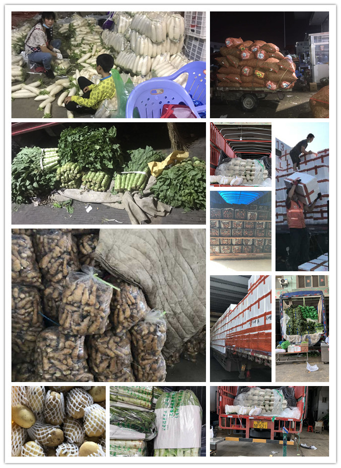 首页-PA真人集团有限公司官网