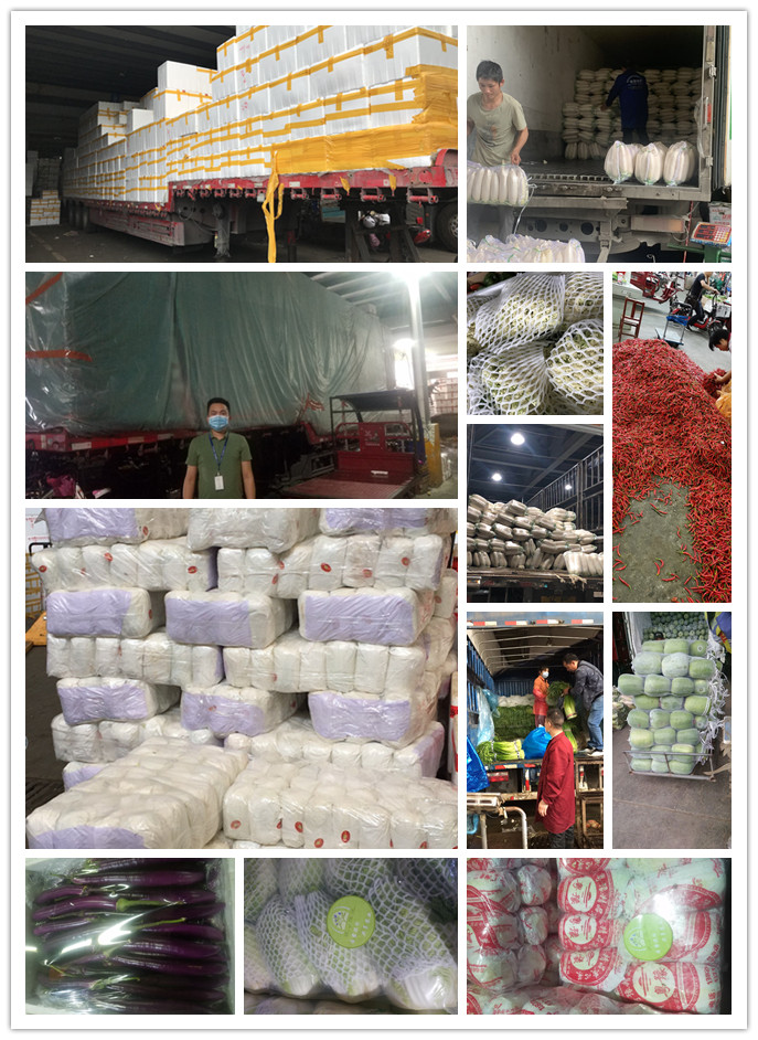 首页-PA真人集团有限公司官网