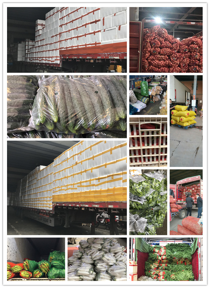 首页-PA真人集团有限公司官网