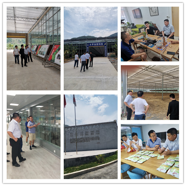 首页-PA真人集团有限公司官网