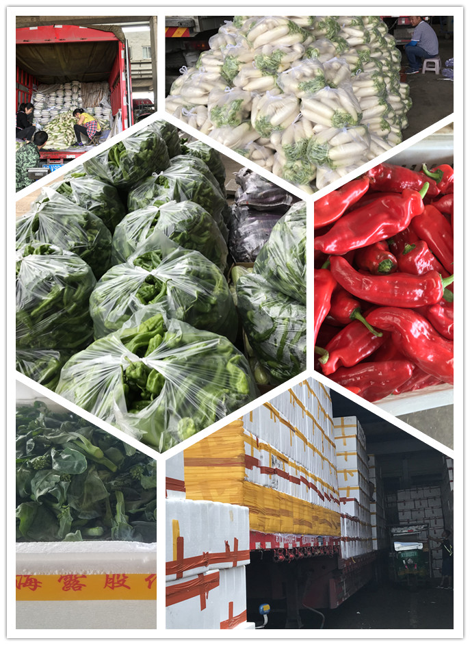 首页-PA真人集团有限公司官网